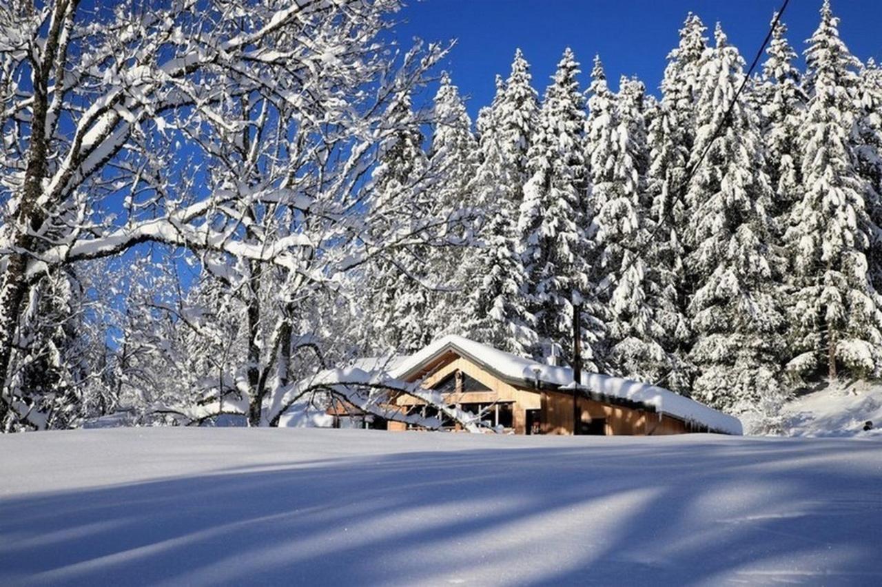 הוילה מורבייה Chalet Le Petit Jura מראה חיצוני תמונה